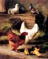 unknow artist Hens and Chicken china oil painting image